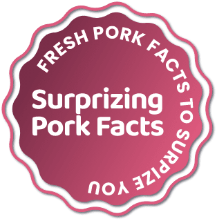 Delicious Pork Recipes
